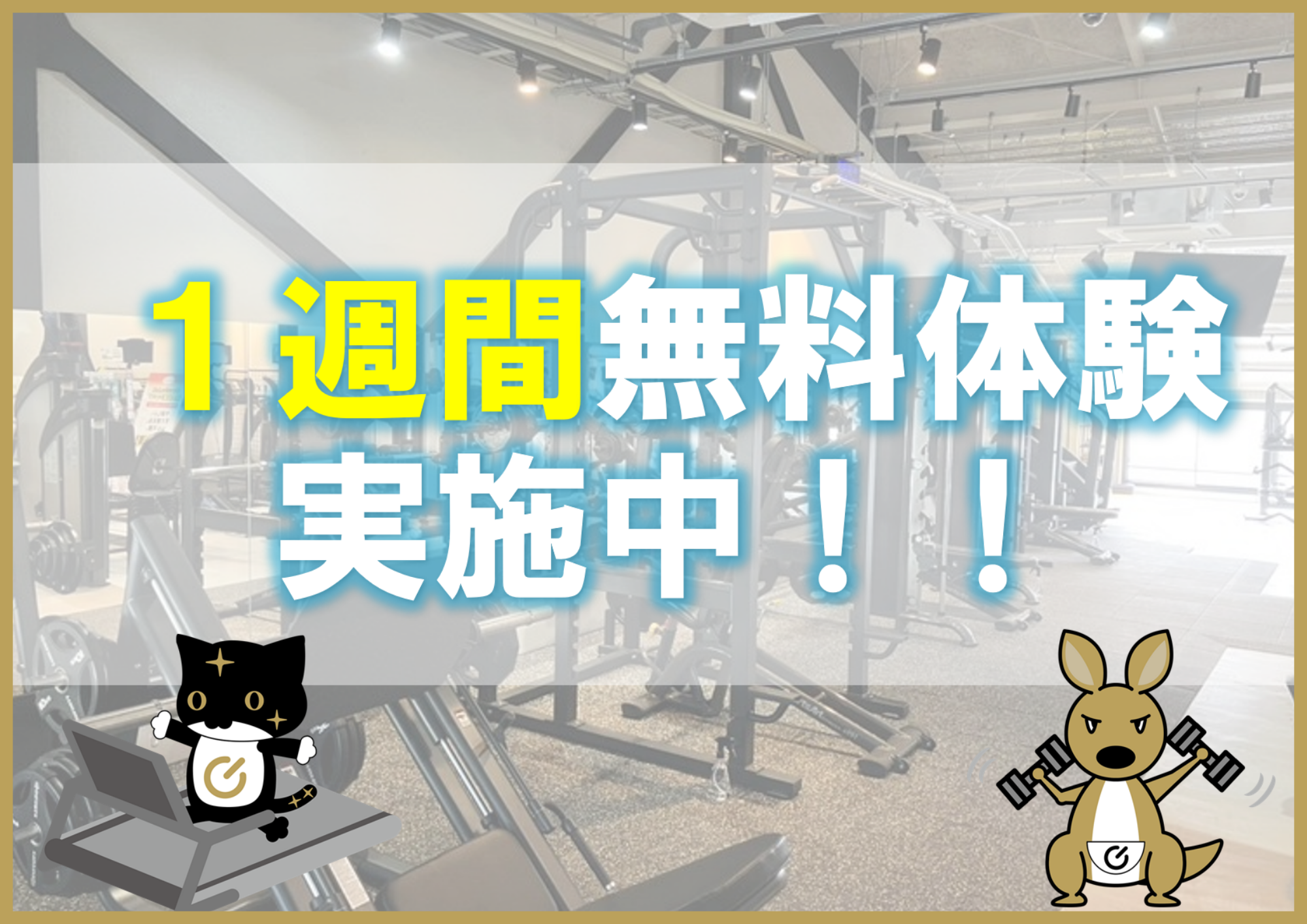 １週間無料体験実施中！（伊賀上野店|三重県伊賀市のフィットネスジム）