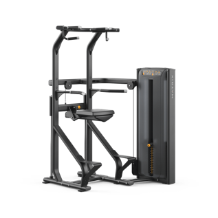 アシストチン/ディップ