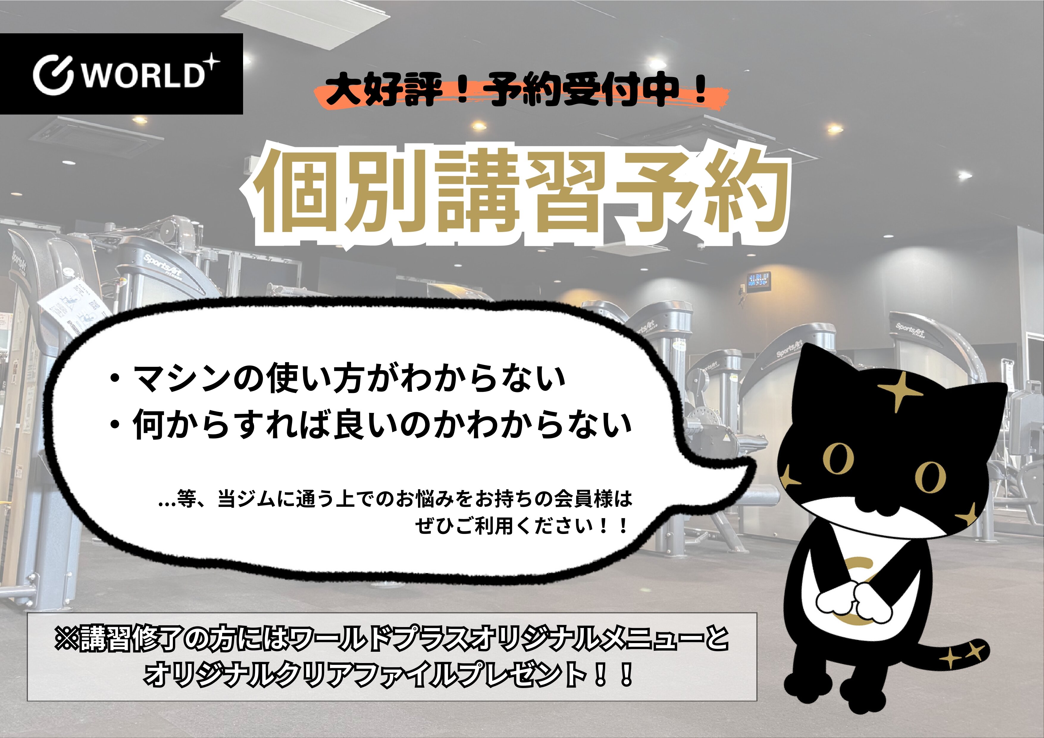 （恵庭店|北海道恵庭市のフィットネスジム）