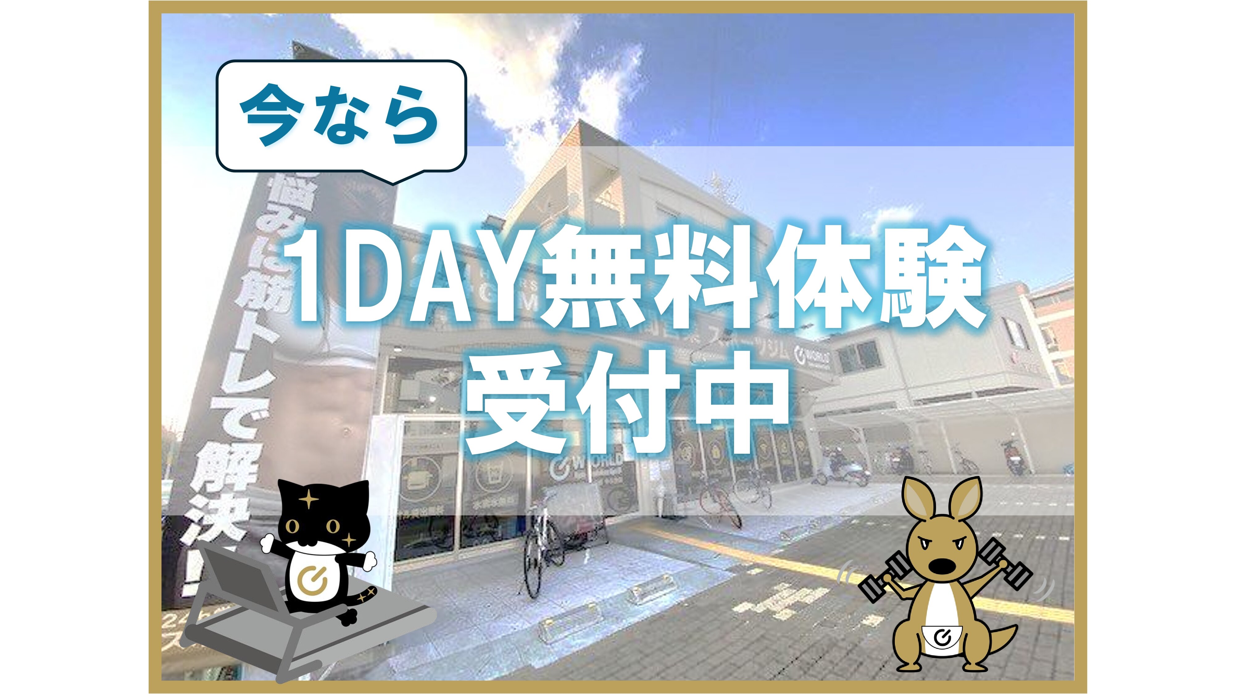 1DAY無料体験受付中（京都中久世店|京都府京都市南区のフィットネスジム）