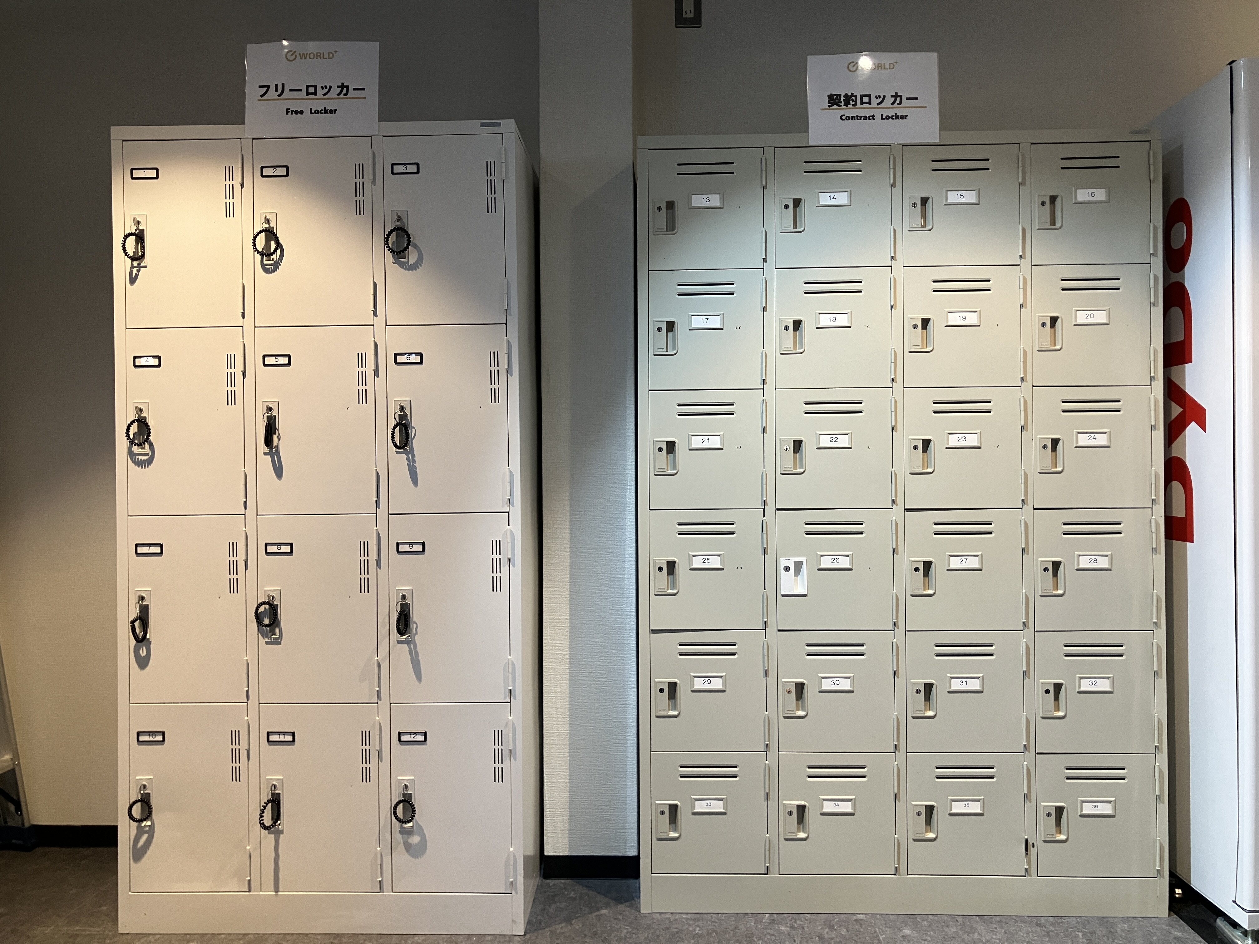 フリーロッカー完備!ご自由にお使いいただけます。(西野店(ワールドプラスライト)|兵庫県伊丹市のフィットネスジム)