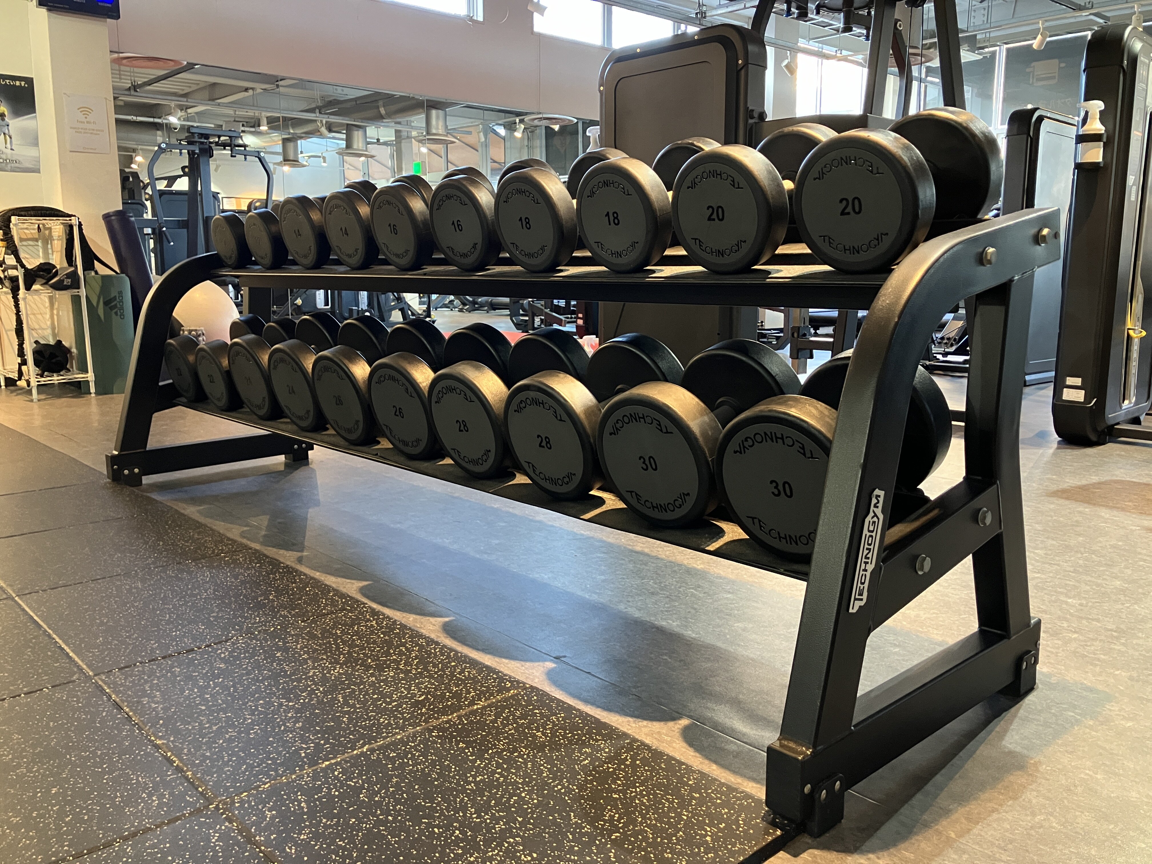 ダンベルは30㎏までご用意しております!(西野店(ワールドプラスライト)|兵庫県伊丹市のフィットネスジム)