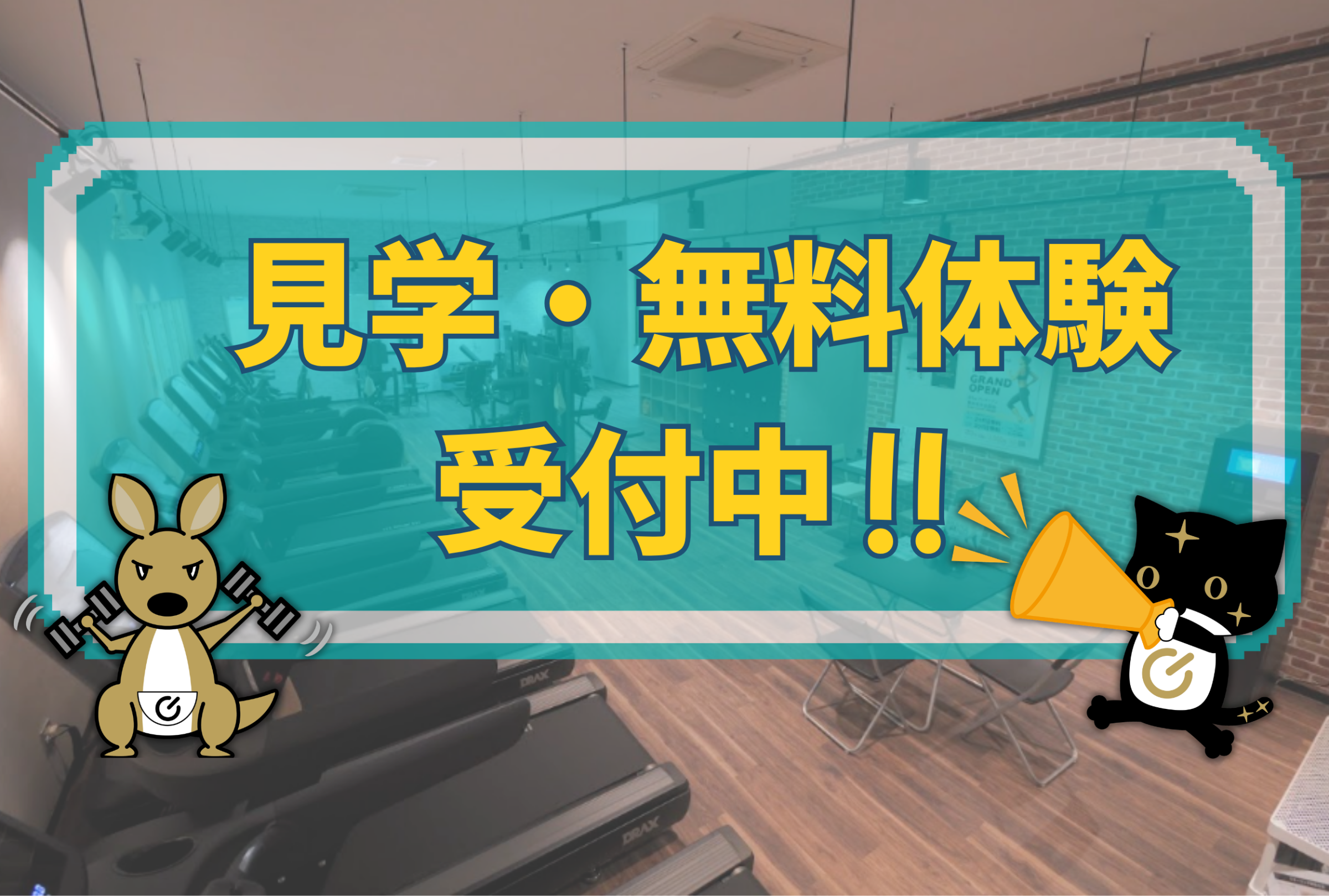見学・無料体験実施中！是非この機会に体験ください！（西尾一色店|愛知県西尾市のフィットネスジム）