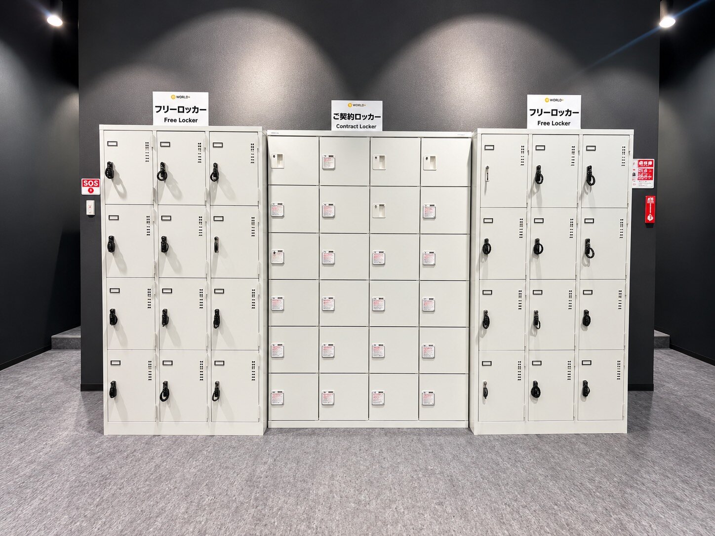 鍵付きフリーロッカー完備！自分だけの契約ロッカーもご準備しております！（坂井三国店|福井県坂井市のフィットネスジム）